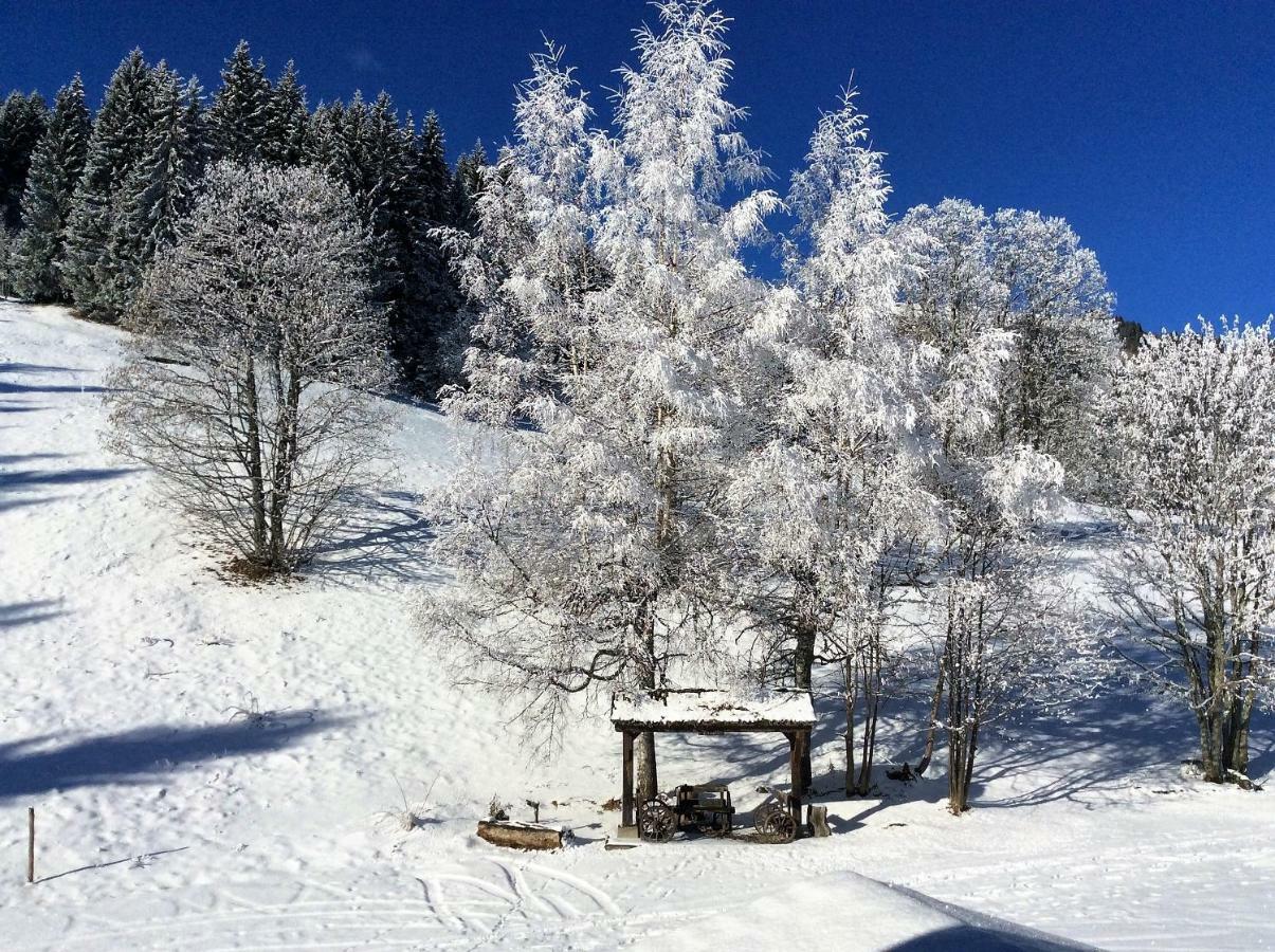 Le Refuge Holiday home Cordon